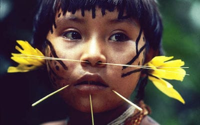 Infanticídio entre os Yanomami